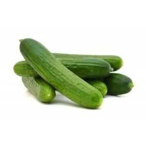 Cucumber organic 500 g