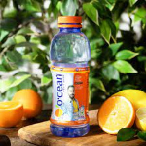 Ocean Fruit Drink Orange Flavour 500Ml