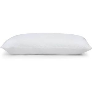 Welspun Bed N Bath Anti Bacterial Pillow