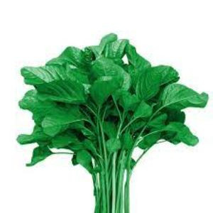 Cheera Green Bunch