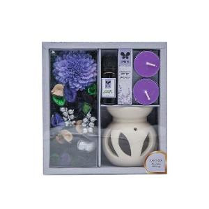 Iris Gift Pack Lavender 324