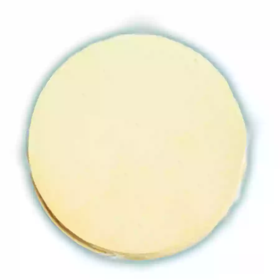 Homely Pappadam 100 G