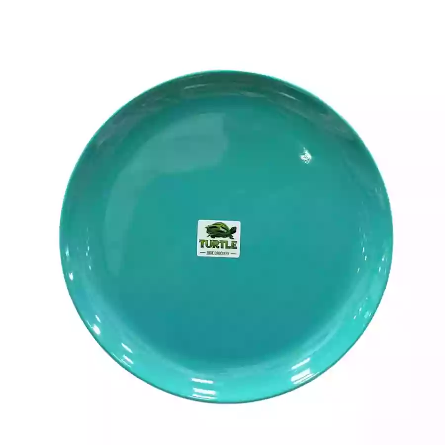 Turtle Full Plate Costa Hri-230506