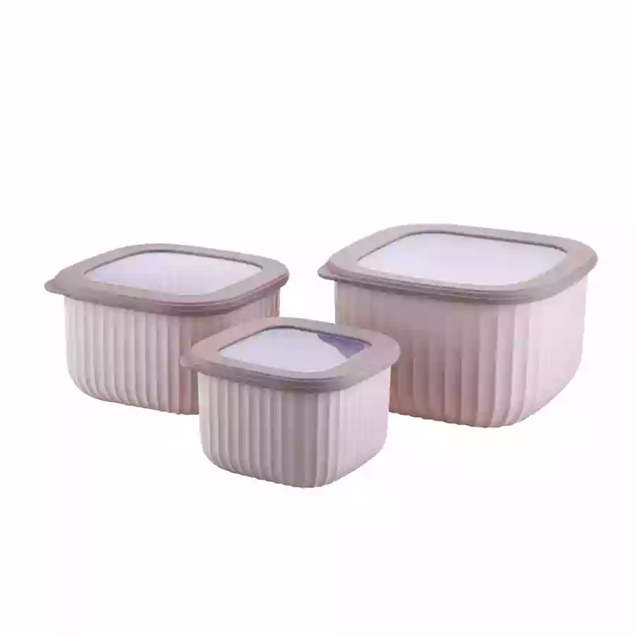 Joyo Elegant Container Set Of 3